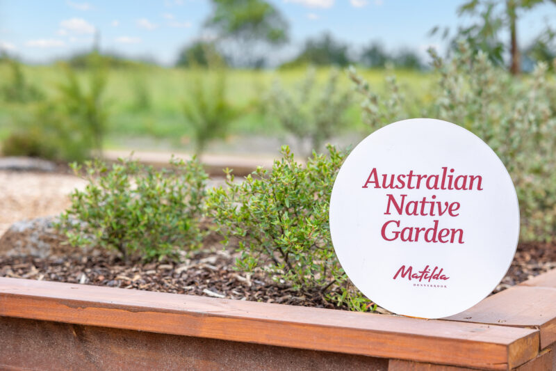 Matilda free front landscaping